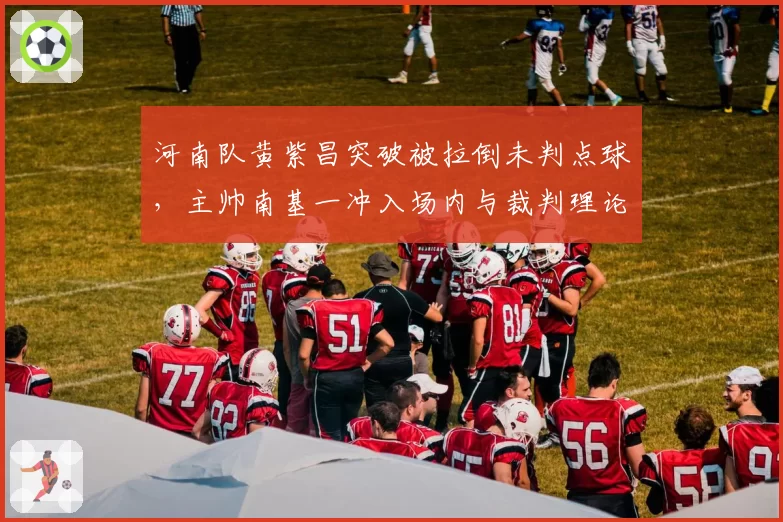 河南队黄紫昌突破被拉倒未判点球,主帅南基一冲入场内与裁判理论
