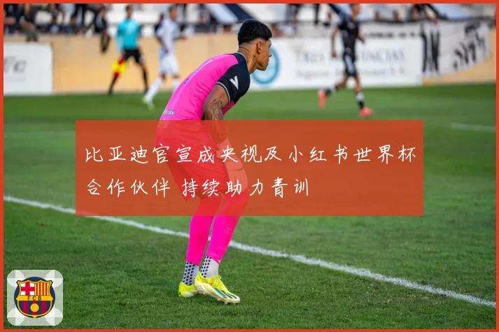 比亚迪官宣成央视及小红书世界杯合作伙伴 持续助力青训