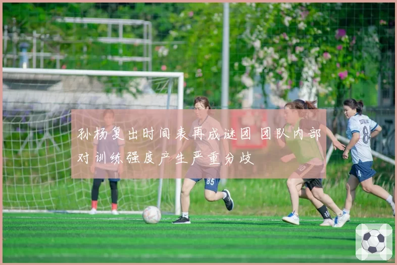 孙杨复出时间表再成谜团 团队内部对训练强度产生严重分歧