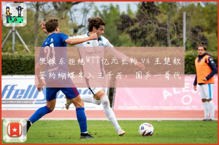 樊振东拒绝WTT亿元长约 vs 王楚钦签约蝴蝶年入三千万,国乒一哥代言选择折射体制之变